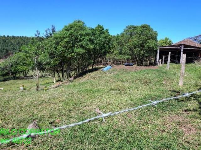 Chacara, Fazenda Barbosa, Triunfo, RS