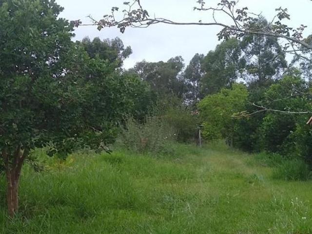 Chacara, Fazenda Fialho, Taquara, RS