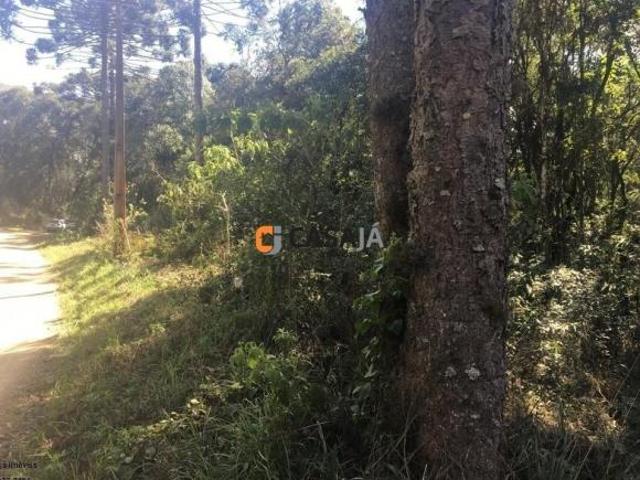 Chacara, Herval do Papuã, Contenda, PR