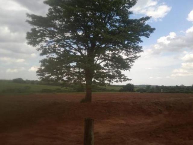 Chacara, Itajobi, Itajobi, SP