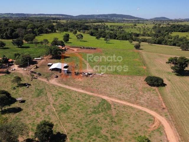 Chácara incrível a apenas 2 km de Sanclerlândia – oportunidade única!