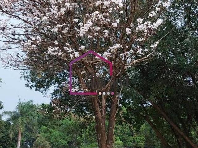 Chacara, Jardim Elite, Santa Adélia, SP