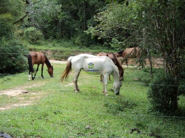 Chacara, Pangaré, Quitandinha, PR