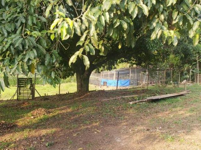 Chácara para incorporação à venda, são 5.656 m² Parque Jambeiro Campinas/SP