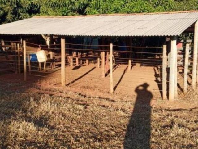 Chácara para plantação no PADEF. 8 ha. Plano, casa 2 qts. Escritura, represa, ótimo investimento!