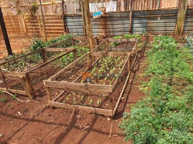 Chácara para venda e aluguel em Jardinópolis