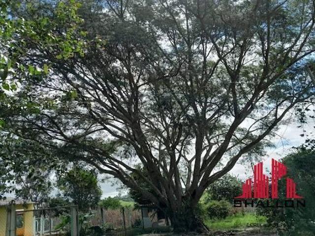 Chácara para venda em Cocaes, Sarapuí