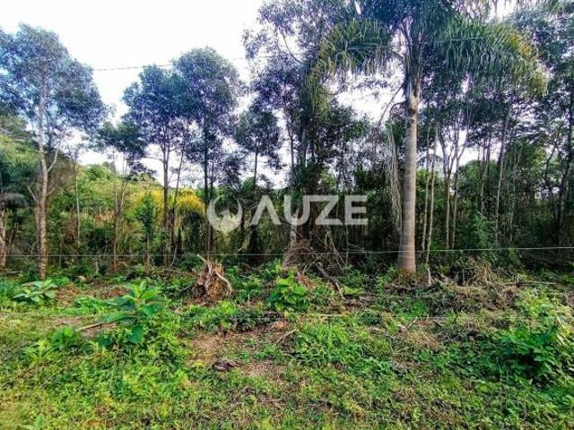 Chácara para venda em Colônia Murici, São José dos Pinhais