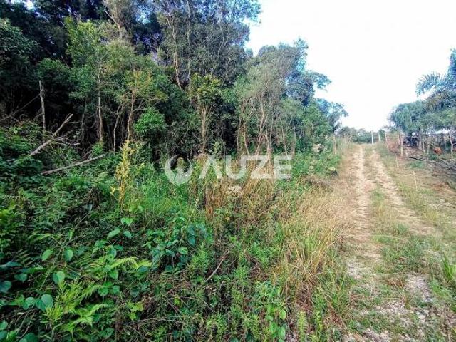 Chácara para venda em Colônia Murici, São José dos Pinhais
