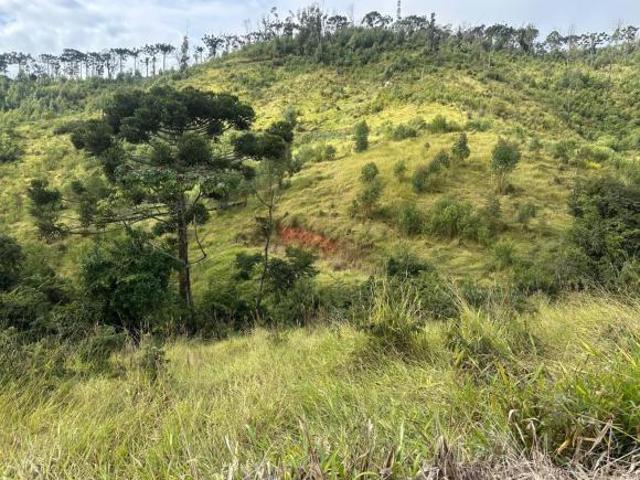 Chácara para Venda em Córrego do Bom Jesus