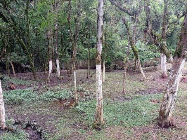 Chácara para venda em Campo Largo Da Roseira de 6700.00m² com 2 Quartos e 10 Garagens