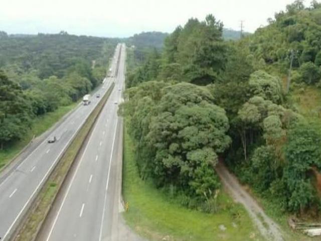 Chácara para Venda em Campina Grande do Sul, campina grande do Sul