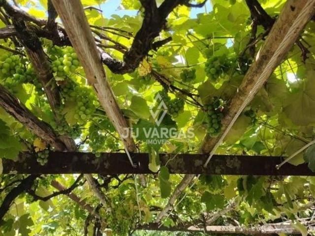 Chácara para venda em Cascata, Pelotas
