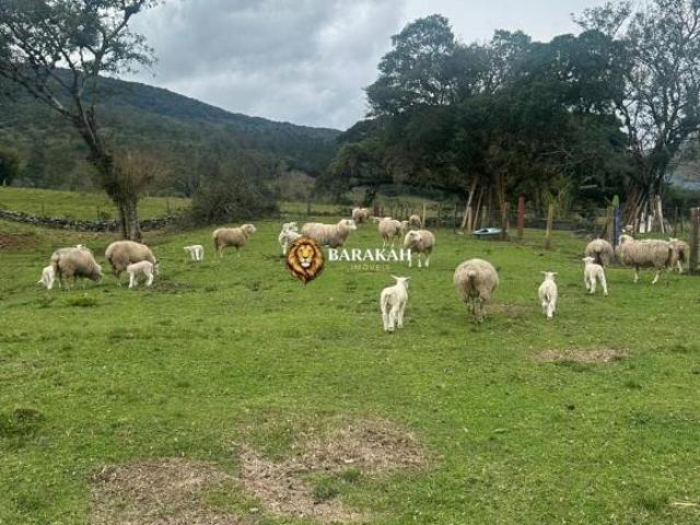 Chácara para venda em Centro, Maquiné