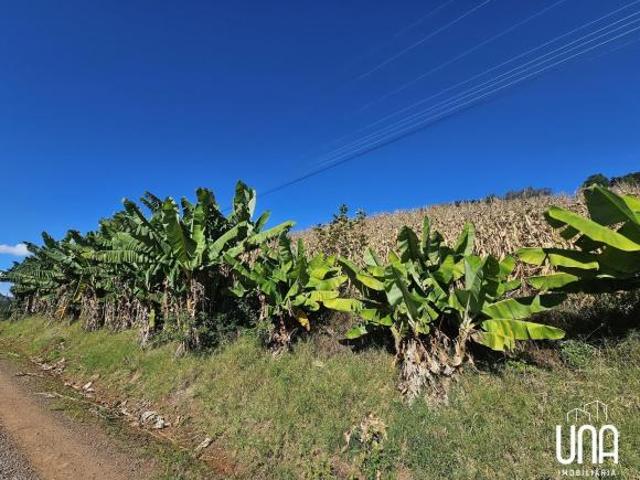 Sítio para venda em Centro, Monte Belo do Sul