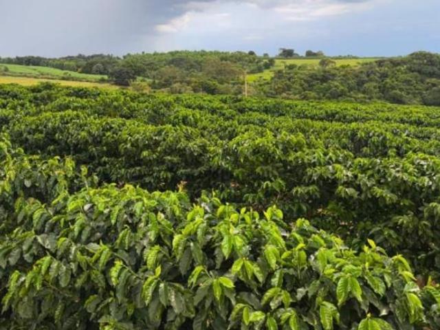 Chácara para venda em Centro, Monte Santo de Minas