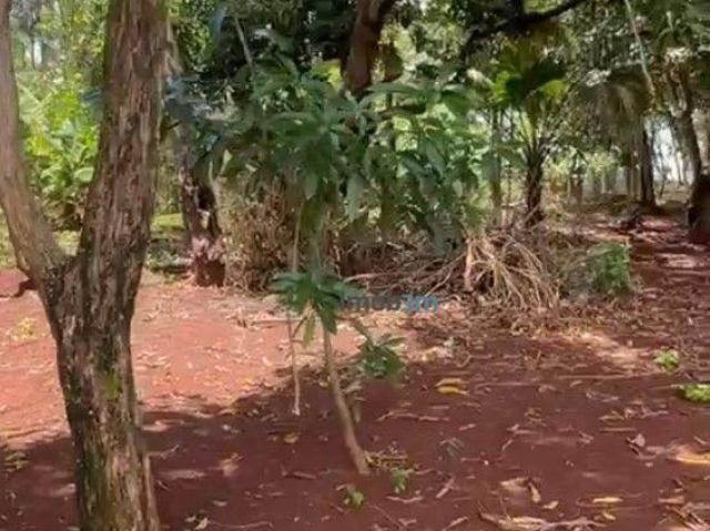 Chácara para venda em Centro, Alvorada do Sul