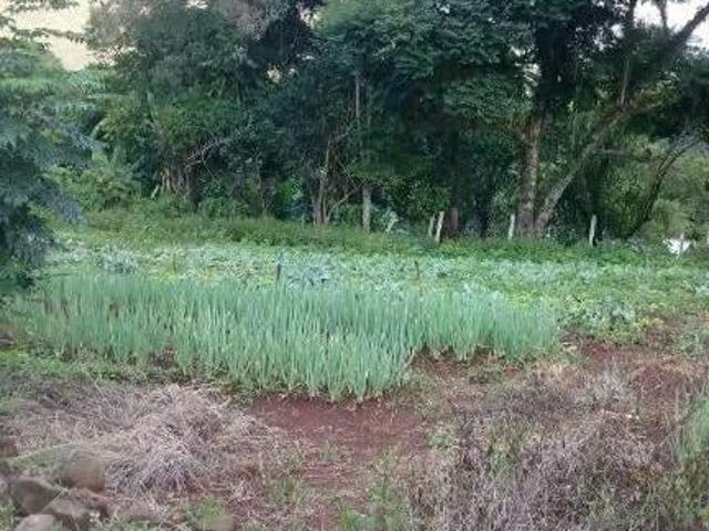 Chácara para venda em Centro, Arroio do Meio