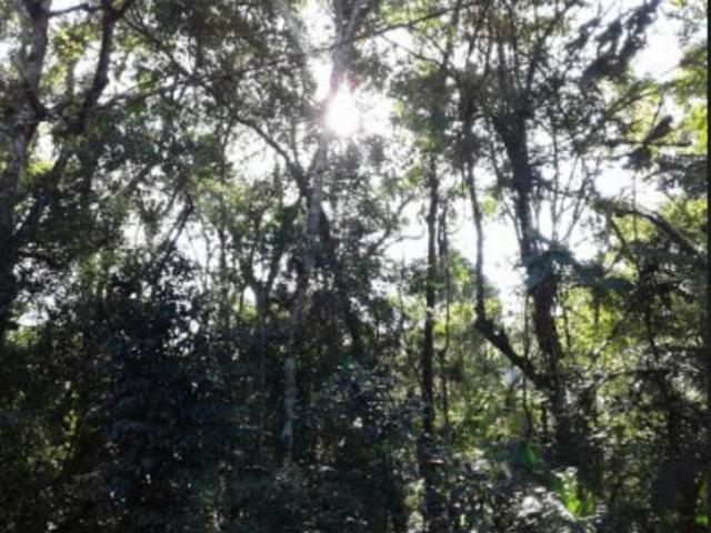 Chácara para venda em Centro, Bofete