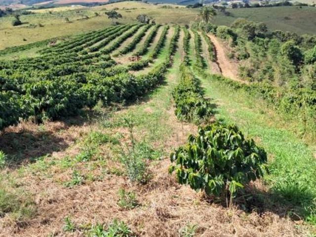 Fazenda para venda em Centro, Carmo de Minas