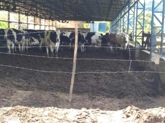 Chácara para venda em Centro, Caxambu