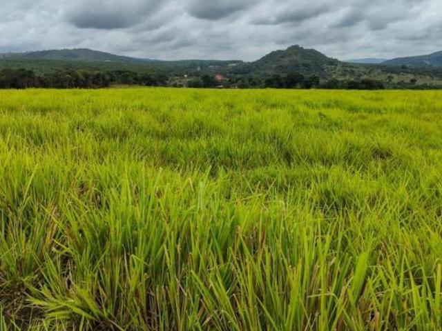 Chácara para venda em Centro, Conceição do Pará
