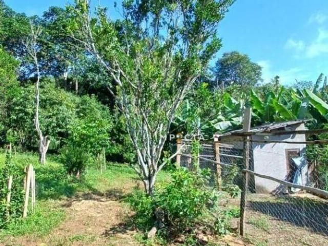 Chácara para venda em Centro, Congonhal