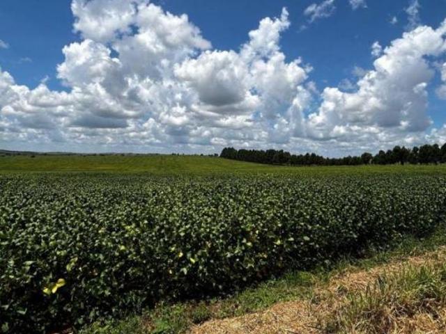 Chácara para venda em Centro, Dores do Indaiá