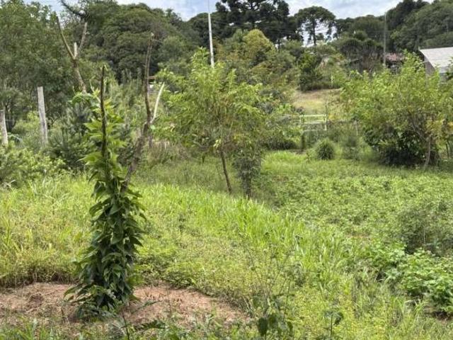 Chácara para venda em Centro, Quitandinha
