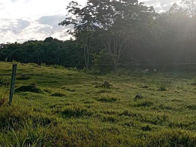Chácara para venda em Centro, Regente Feijó