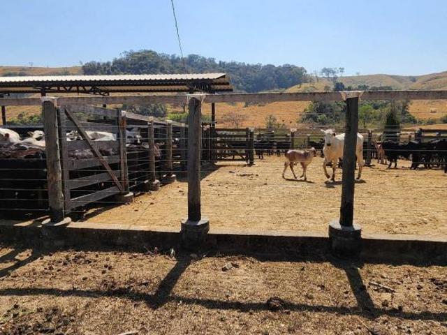 Chácara para venda em Centro, São Francisco de Paula