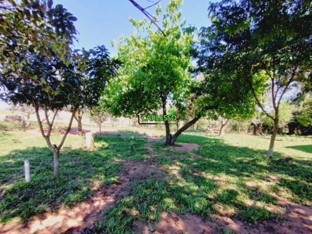 Sítio para venda em Centro, São Pedro do Sul
