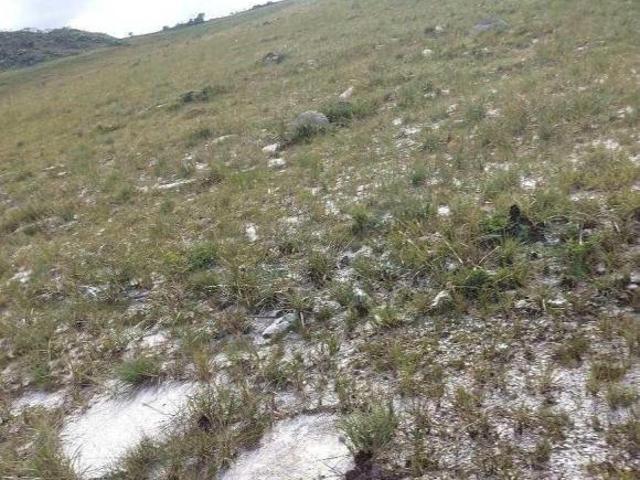 Chácara para venda em Centro, Santana do Riacho