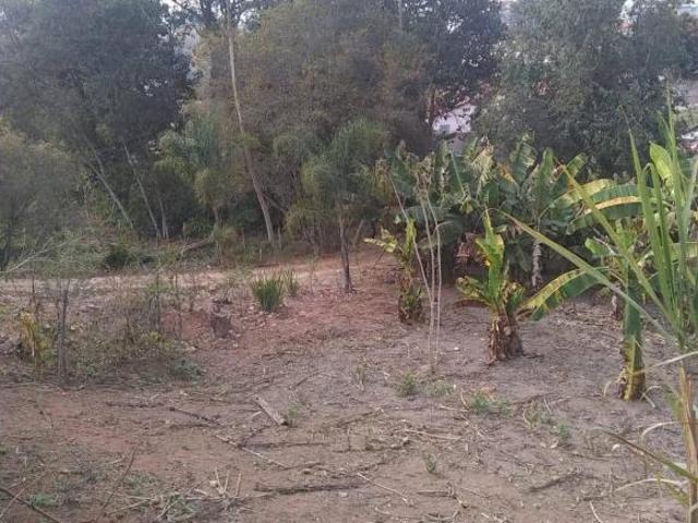 Chácara para venda em Centro, Senador José Bento
