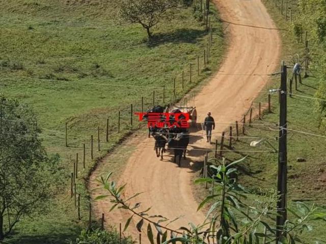 Chácara para venda em Centro, Soledade de Minas