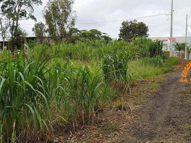 Chácara para venda em Centro, Terra Roxa