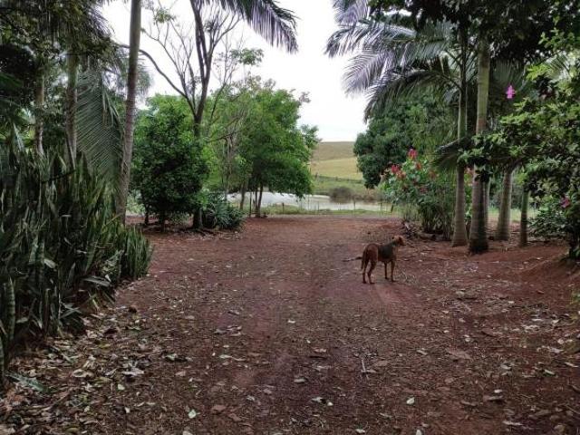 Chácara para venda em Centro, Vera Cruz do Oeste