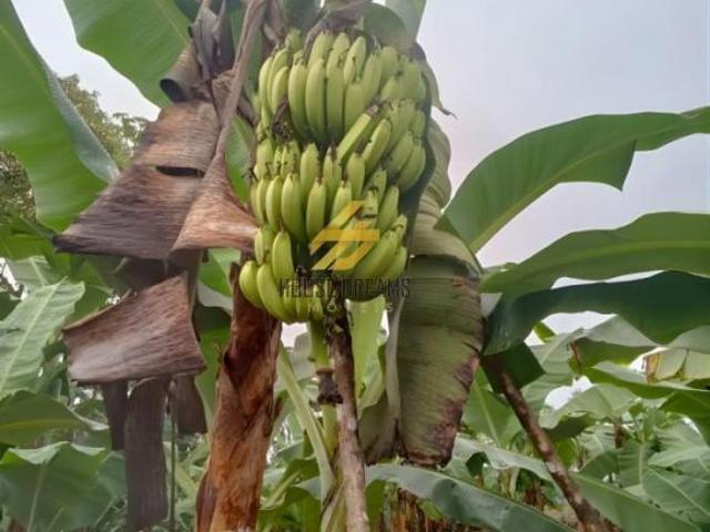 Chácara para venda em Água Verde de 72600.00m² com 1 Quarto e 1 Suite