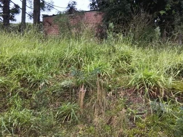 Chácara para venda em Área Rural Areia Branca dos Assis, M