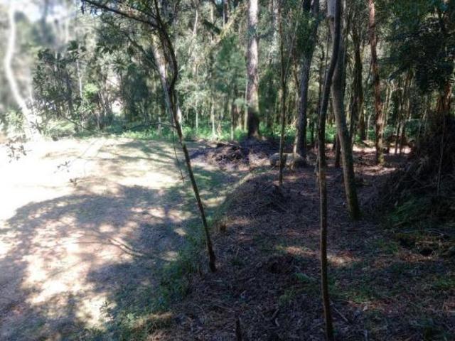 Chácara para venda em Área Rural Areia Branca dos Assis, M