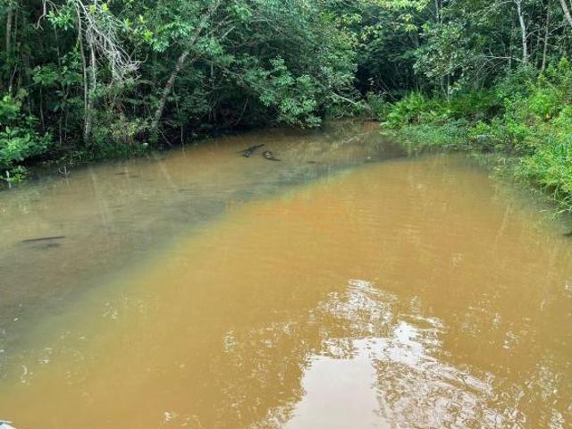 Chácara para venda em Área Rural de Araguari, Araguari