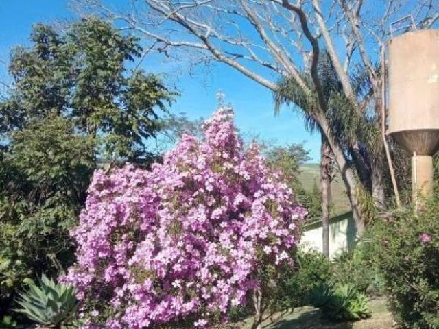 Chácara para venda em Área Rural de Bragança Paulista, Braga