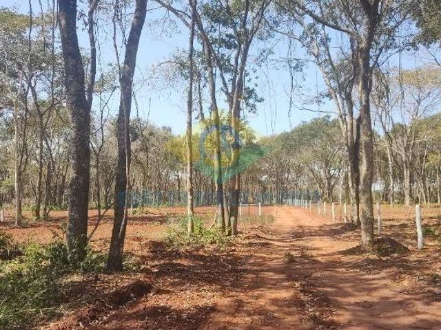Chácara para venda em Área Rural de Campo Grande, Campo Gran