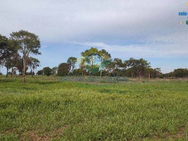 Chácara para venda em Área Rural de Campo Grande, Campo Gran