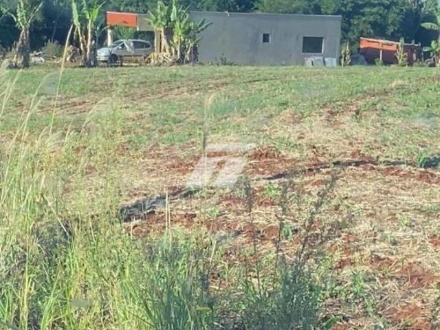 Chácara para venda em Área Rural de Cascavel, Cascavel