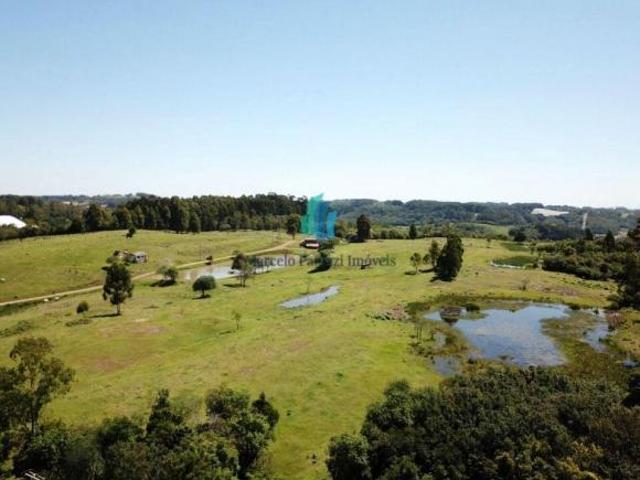 Chácara para venda em Área Rural de Farroupilha, Farroupilha