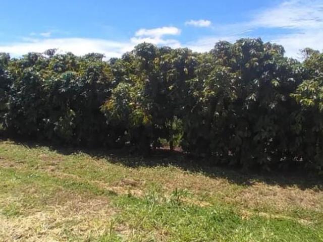 Chácara para venda em Área Rural de Garça, Garça