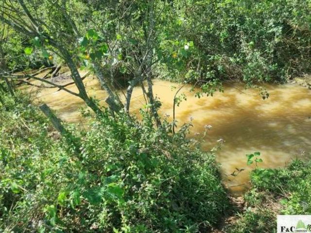 Chácara para venda em Área Rural de Limeira, Limeira