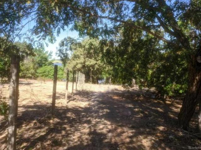 Chácara para venda em Área Rural de Lins, Lins