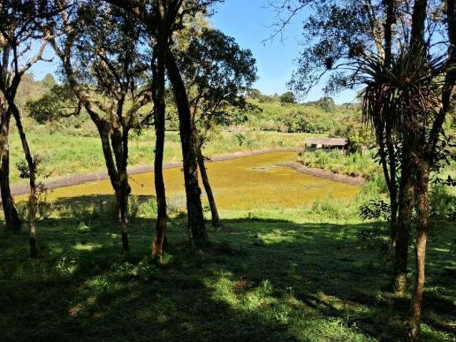 Chácara para venda em Área Rural de São José dos Pinhais, Sã